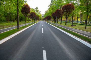 Black asphalt road and white dividing lines