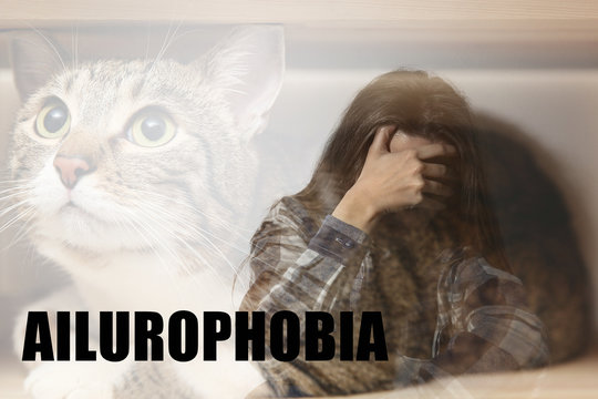 Woman suffering from ailurophobia. Irrational fear of cats