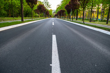 Black asphalt road and white dividing lines