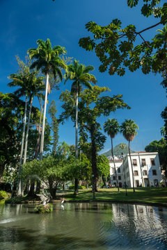  Lake and palm trees in the outdoor garden