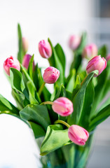 Large beautiful bunch of pink tulips