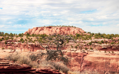 Colorado National Monument