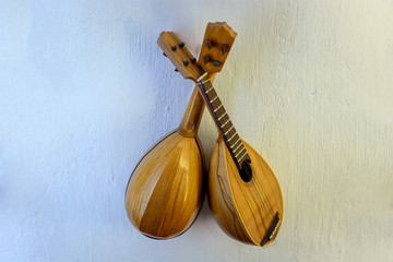 Lute - a stringed musical instrument with frets on the fretboard.