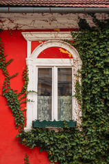 Fototapeta na wymiar Beautiful window in Tokaj, Hungary. Tokaj is the center of famous Tokaj Wine Region