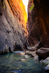 The Majestic Narrows of Zion National Park, Utah