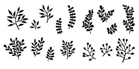 Vector big set of cute small branches. Hand drawn botanical elements for design