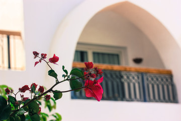 Red flower on the background of a white building: balcony and window in the resort during summer holidays