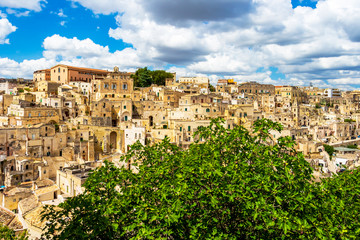Fototapeta premium Scenic panoramic sunny view of Matera, Province of Matera, Basilicata Region, Italy behind a fig tree under beautiful cloudy summer sky