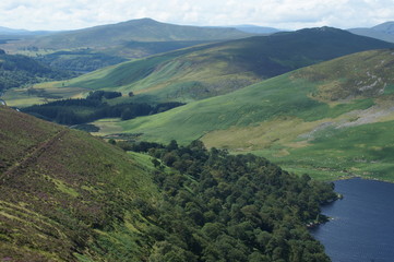 view of Guinness Lake from the hills 