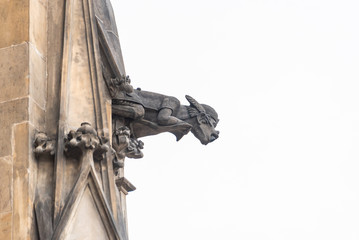 Close up view of gargoyle in the Cathedral church Sacred Vitus in Prague. The gargoyle is a highly...