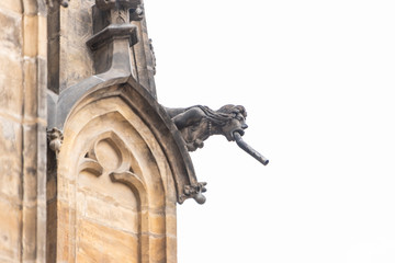 Close up view of gargoyle in the Cathedral church Sacred Vitus in Prague. The gargoyle is a highly...