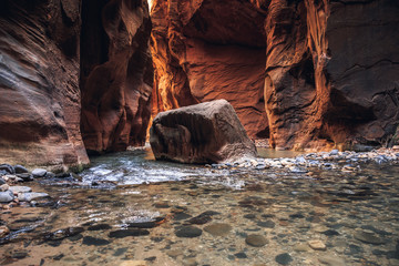 The Majestic Narrows of Zion National Park, Utah