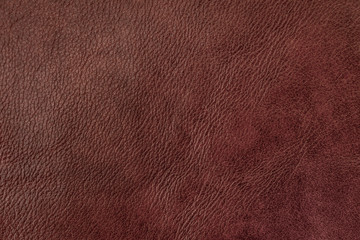 Texture of genuine leather, dark brown color, background, surface. Manufacturing and leather industry concept