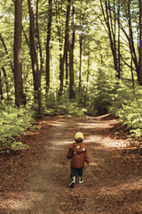 Obraz premium boy walking in the woods