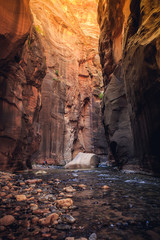 The Majestic Narrows of Zion National Park, Utah