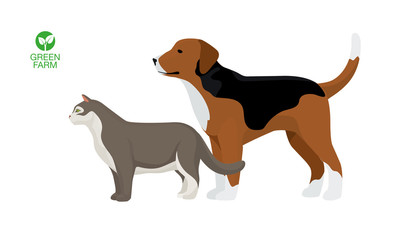 Cat and dog vector illustration. Farm animals collection. Pets. 