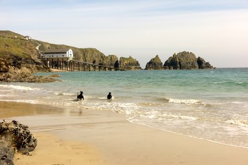 mother ivy's bay cornwall england united kingdom covid19 lockdown may 4th 2020