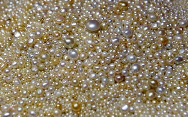 Texture natural White Pearls, Close-up, jewelry, luxury, pile, pearls