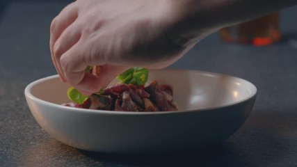 chef lays a shamrock on food
cook wild boar
decorates the dish
fragrant rape delicacy in the restaurant
hands put on a plate
close-up 4.6K