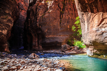 The Majestic Narrows of Zion National Park, Utah