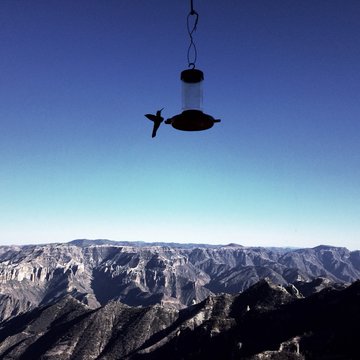 Divisadero Barrancas Del Cobre