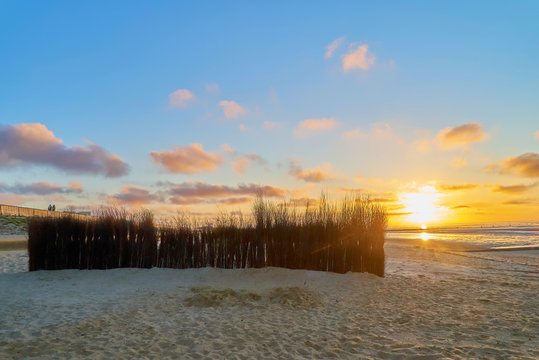 scenic colorful sunset behind a row of brushwood used as windbreak on the beach in Cuxhaven-D&ouml;se (Germany)