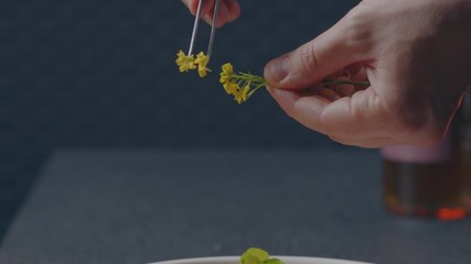 chef cook wild boar
decorates the dish
fragrant rape delicacy in the restaurant
hands put on a plate
close-up 4.6K