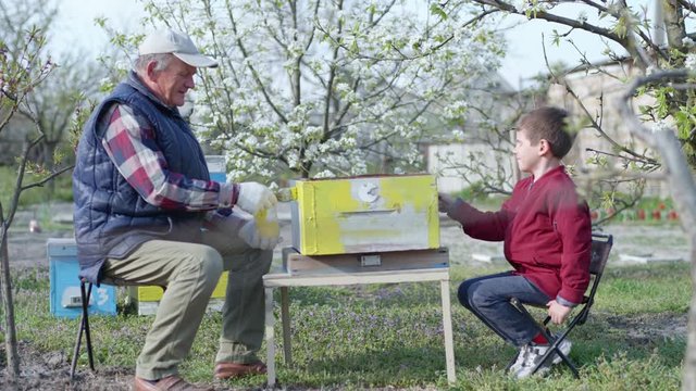 happy childhood, caring grandfather with his assistant little boy paint yellow paint beehive for honey bees on apiary on warm spring day