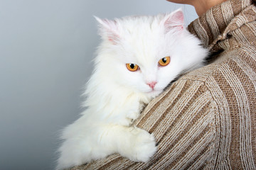 Woman with yellow eyed white cat