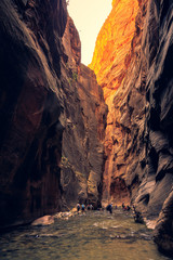 The Majestic Narrows of Zion National Park, Utah