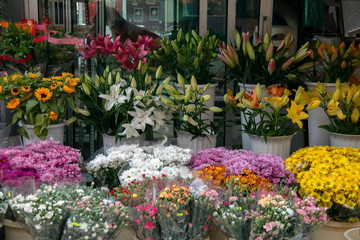 Fototapeta na wymiar Beautiful flowers and plants exposed on the street for sale. Flower shop