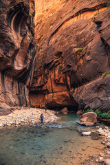 The Majestic Narrows of Zion National Park, Utah