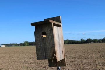 birdhouse