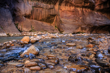 The Majestic Narrows of Zion National Park, Utah
