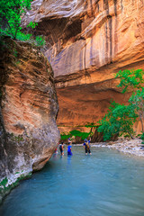 The Majestic Narrows of Zion National Park, Utah