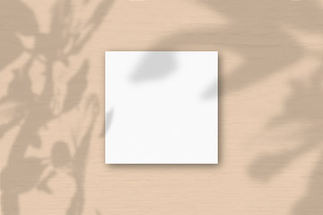 A square sheet of white textured paper on a orange wall background. Mockup overlay with the plant shadows. Natural light casts shadows from an exotic plant. Flat lay, top view. Horizontal orientation