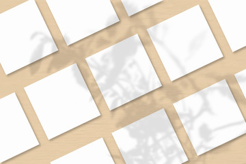 Several square sheets of white textured paper against a orange wall background.Natural light casts shadows from an exotic plant. Flat lay, top view