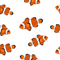 Clownfish sea seamless pattern. Drawing on white background,