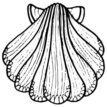 recommend clip art: Black line oyster on white isolated backdrop. Clamshell for invitation or gift card, diving club logo, notebook sticker, bath tile. Phone case or cloth print. Doodle style stock vector illustration