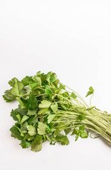 Fototapeta premium 香味野菜 三つ葉
