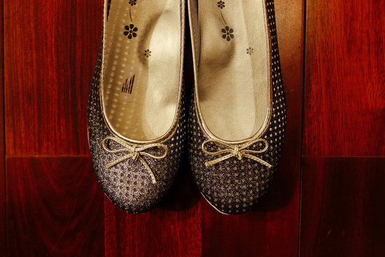 Zapatos de dama, brillos con mo&ntilde;o