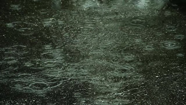 Rain slowly falls onto asphalt making small and light rings above a black street  Royalty free stock video