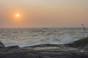 Fototapeta premium Sunset at the beach