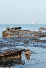 Le Havre beach at low tide with a boat