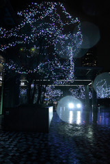 December 2012 Vancouver by night