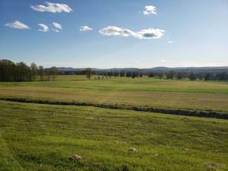 Fototapeta premium summer landscape with green field and blue sky