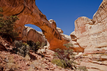 Hickman Bridge, a natural arch in Capitol Reef National Park

