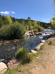 river in the woods