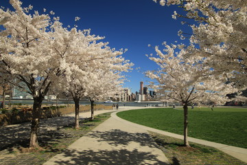 Wiosna w New York, widok z LIC na Manhattan