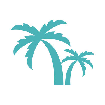 tropical trees palms isolated icons